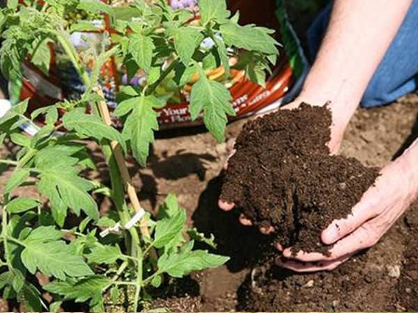 生物有機(jī)肥在有機(jī)作物種植上的使用